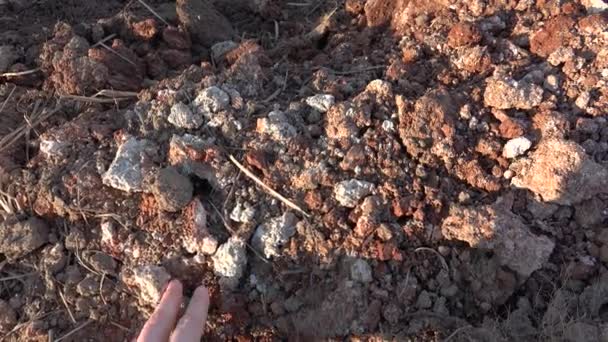 Крупным планом обстрел вырытой груды грунта — стоковое видео