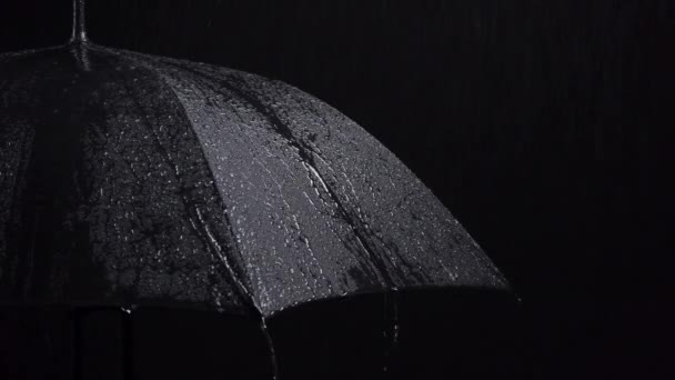 Video de paraguas negro y gotas de lluvia sobre fondo negro — Vídeo de stock