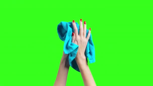 Video de manos femeninas limpiadas con toalla sobre fondo verde — Vídeos de Stock