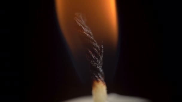 Відео палаючої та колючої свічки на чорному тлі — стокове відео