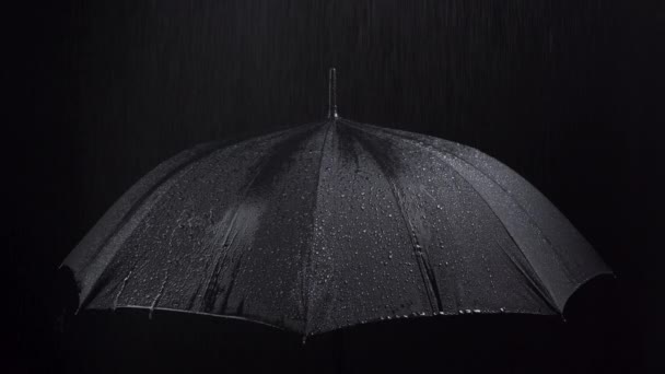 Видеозапись черных зонтиков и дождевых капель на черном фоне — стоковое видео