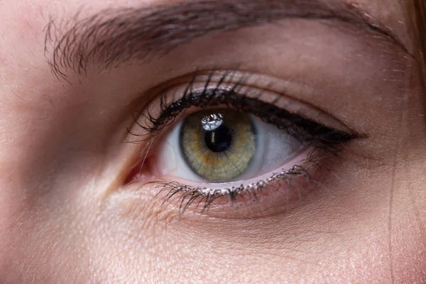 Образ женщины зеленый глаз с макияжем — стоковое фото
