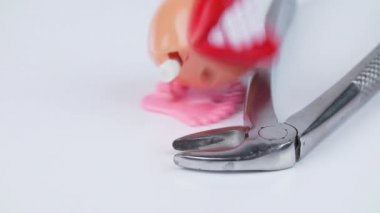 Ağızdan diş kıskacıyla sıçrama videosu - hareket eden oyuncak