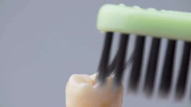 Strzelanie do zębów czyszczących czarną szczoteczką — Wideo stockowe