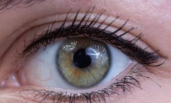 Close-up photo of womans green eye with black mascara — Stock Photo, Image