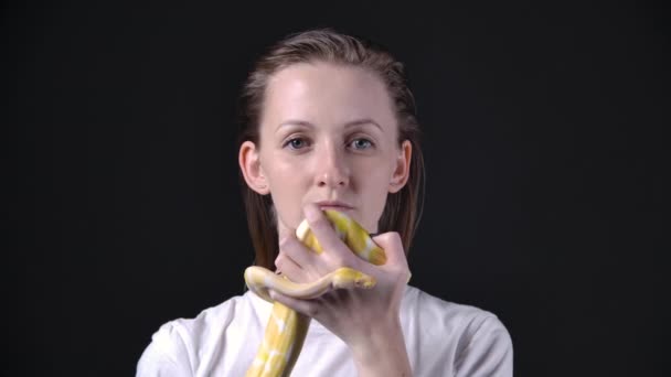 Медленное движение женщины, поднимающей альбиноса питона — стоковое видео
