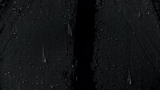 Медленная съемка черных зонтиков и дождевых капель — стоковое видео