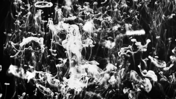 水の中を流れる白い煙滴の撮影 — ストック動画