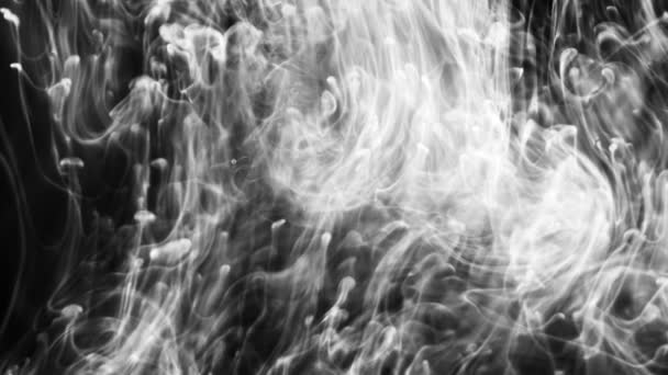 Mönster av rökiga moln som flyter i vätska — Stockvideo