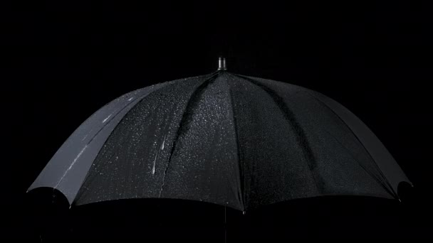 Zeitlupenaufnahmen von schwarzem Regenschirm und Regentropfen — Stockvideo