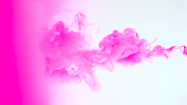 Pintura rosa fluyendo en agua — Vídeos de Stock