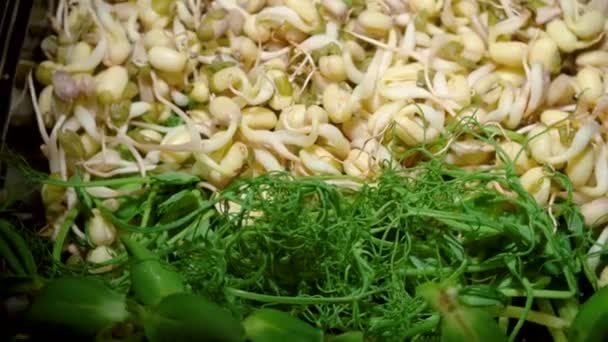 Närbild fotografering av roterande platta med grodda frön av ärter, bönor, dynga — Stockvideo