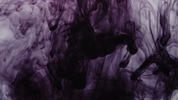 Pattern of waves of purple paint falling in liquid — Stock Video