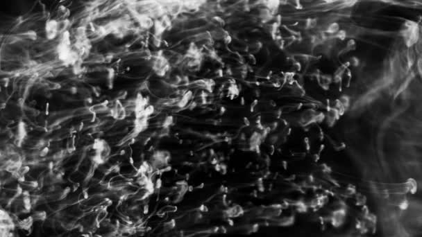 Tiro de nubes humeantes que fluyen en el agua — Vídeos de Stock
