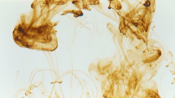 液体中の茶色のインクの散水のビデオ — ストック動画