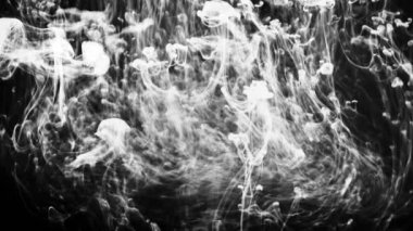 Sıvı içinde akan beyaz dumanlı damlaların videosu