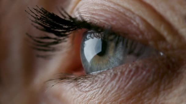 Крупним планом відео жіночого блакитного ока — стокове відео