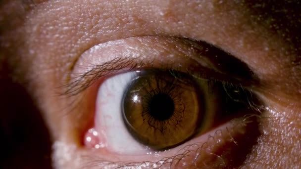 Close-up schieten van het mannelijke bruine oog — Stockvideo