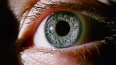 Göz bebekleri büyüyen kadın gri gözünün makro videosu.