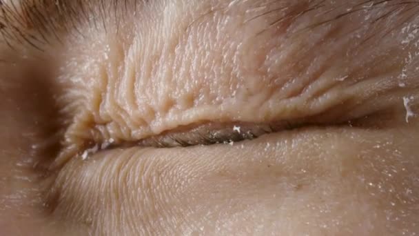 Vidéo de fermeture de l "œil gris femelle avec des gouttes d'eau — Video
