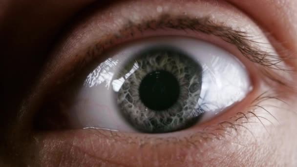 Vidéo de l "œil gris féminin avec pupille — Video