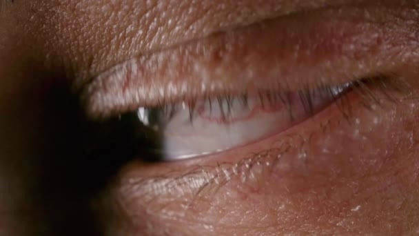 Βίντεο από αρσενικό καστανό μάτι με αιμοφόρο αγγείο — Αρχείο Βίντεο