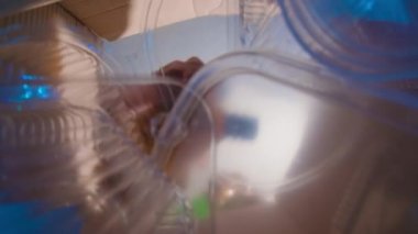 Geri dönüşüm için plastik çöpleri atan adamı çekmek, alt görünüm