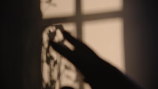 Video females hand silhouette with shadow of window — Stock Video