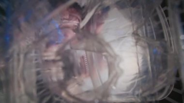 Geri dönüşüm için plastik çöpü çıkaran adam, alt görünüm