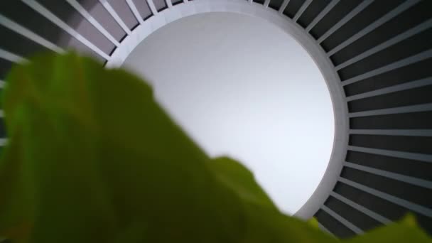 Filmagem da folha de papéis enrugados jogados, vista inferior — Vídeo de Stock
