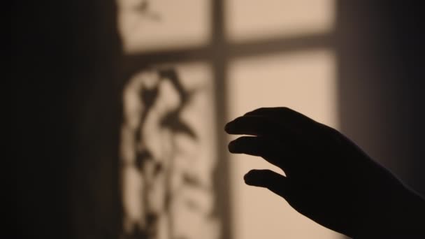 Video woman hand silhouette with shadow of window — Stock Video