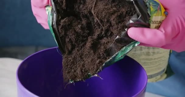 Video wanita dengan tanah untuk reseeding tanaman — Stok Video