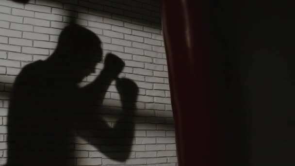 Видео боксера с боксерской грушей возле кирпичной стены — стоковое видео