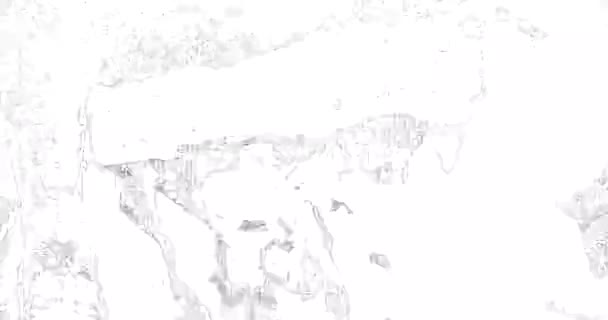 Textura de filmagem da superfície com arranhões em fundos brancos — Vídeo de Stock