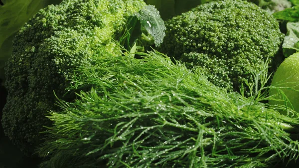 Zamknij zdjęcie zielonego zestawu warzyw mieszanych — Zdjęcie stockowe