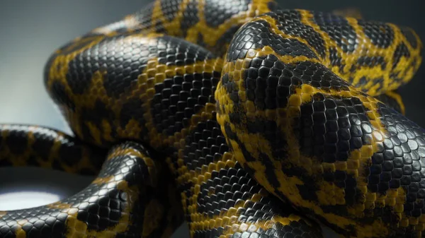 Foto de cerca de boa anaconda amarilla — Foto de Stock