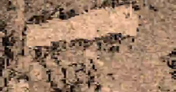 Texture of scratches on beige — Αρχείο Βίντεο