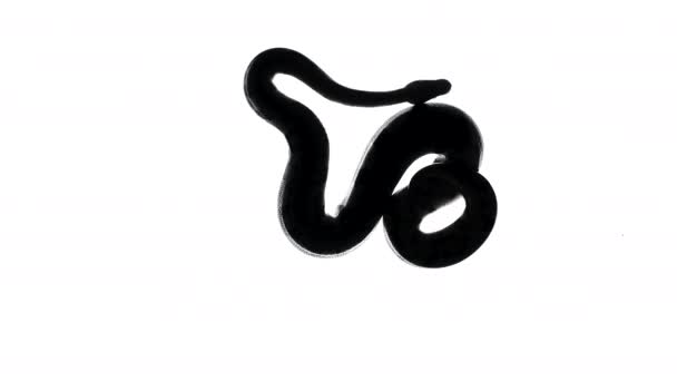 Bilder på kungliga python siluett, kamera underifrån — Stockvideo