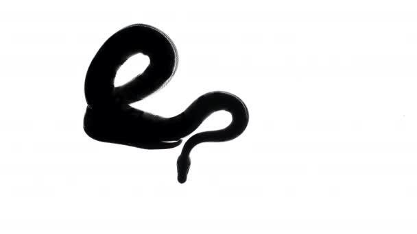 Siyah yılan siluetinin görüntüsü, alttan çekilmiş kamera. — Stok video