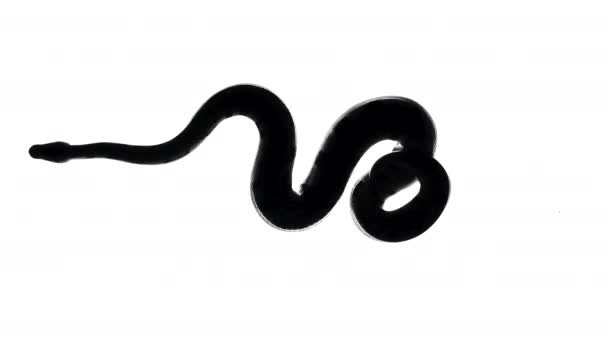皇家蟒蛇的轮廓，摄像机从底部拍摄的视频 — 图库视频影像