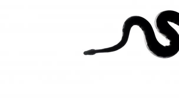 画面の右側のヘビのシルエット,下からカメラ — ストック動画