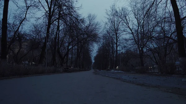 Image of the dismal alley during early spring — Stock Photo, Image