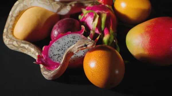 Foto de pitón rastrero y frutas exóticas — Foto de Stock