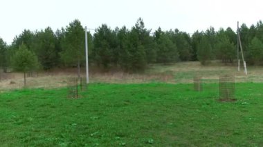 Bahçede yeşil çimen ve ağaçların çekilmesi