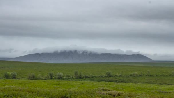 Video del paesaggio polare - Montagne Urali nella tundra — Video Stock