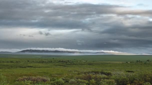 Beelden van het poollandschap - Oeral Mountains in Tundra — Stockvideo