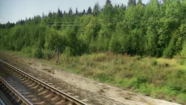 Filmato della vista della foresta all'inizio dell'autunno dalla finestra del treno in movimento — Video Stock