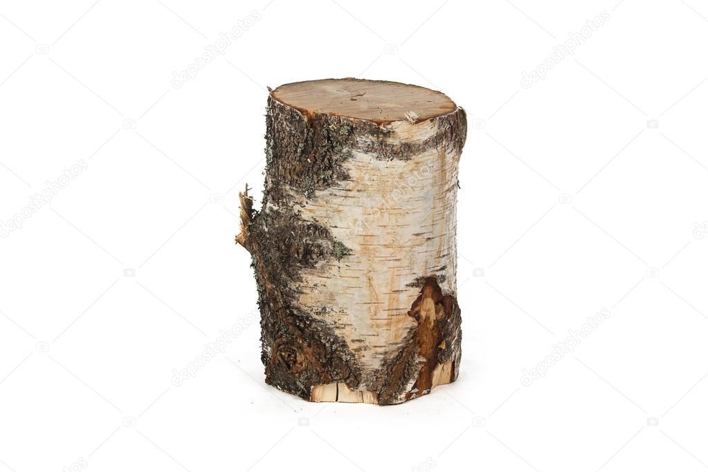 Image of birch stump