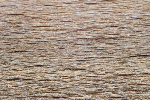 Фотография текстуры бежевого дерева — стоковое фото