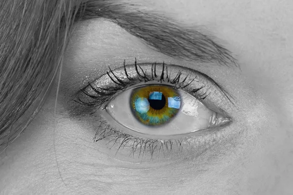 Black and white photo of womans green eye — Stock Photo, Image